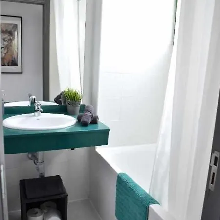 Holyhome Grey 204