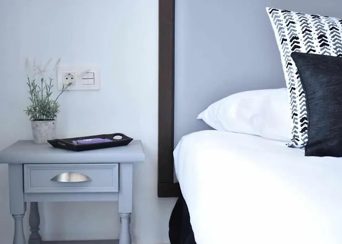 Holyhome Grey 204 * 코스타 테기세